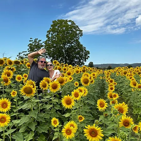 Lachiusa Tuscany Ξενοδοχείο